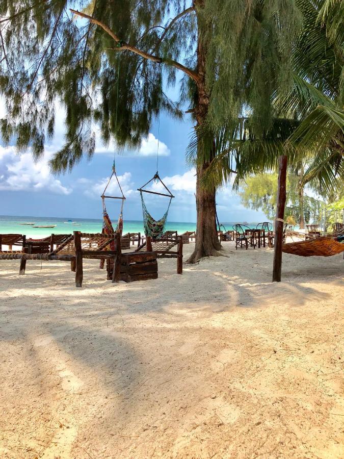 Simba Beach Zanzibar Kiwengwa  Dış mekan fotoğraf