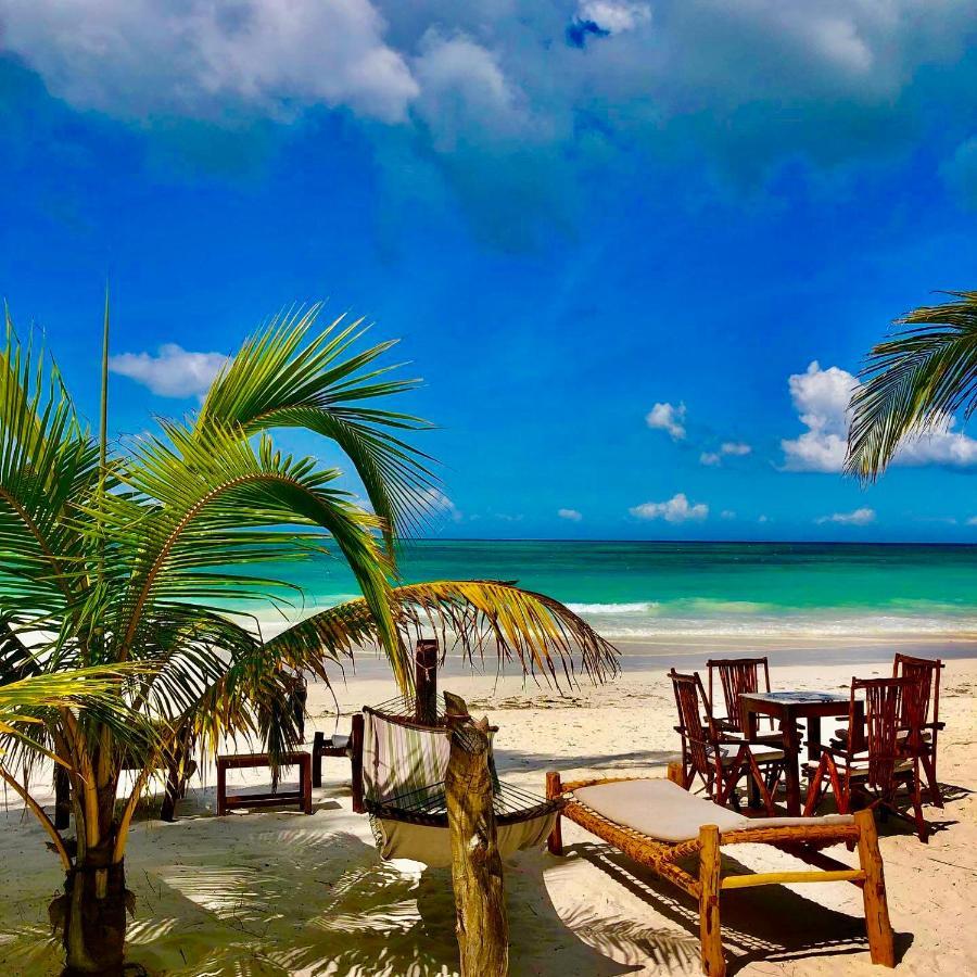 Simba Beach Zanzibar Kiwengwa  Dış mekan fotoğraf