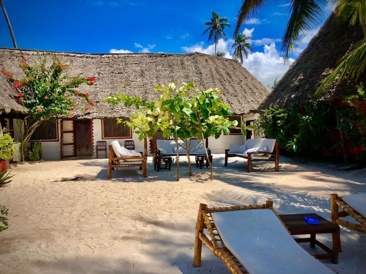 Simba Beach Zanzibar Kiwengwa  Dış mekan fotoğraf