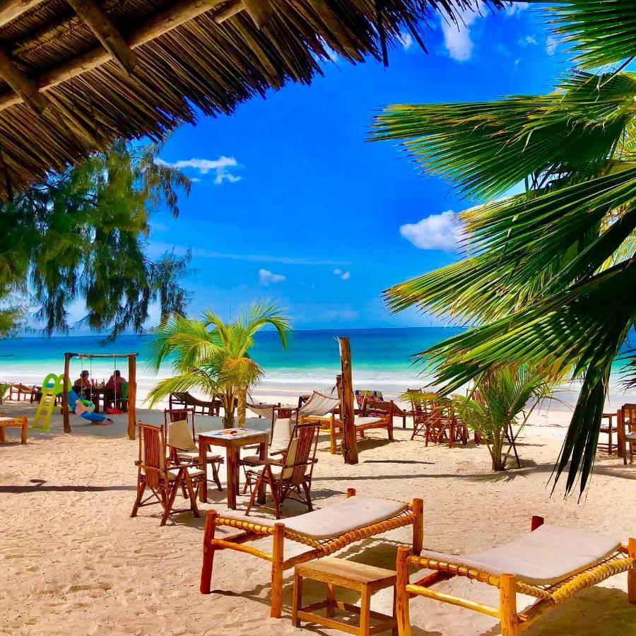 Simba Beach Zanzibar Kiwengwa  Dış mekan fotoğraf