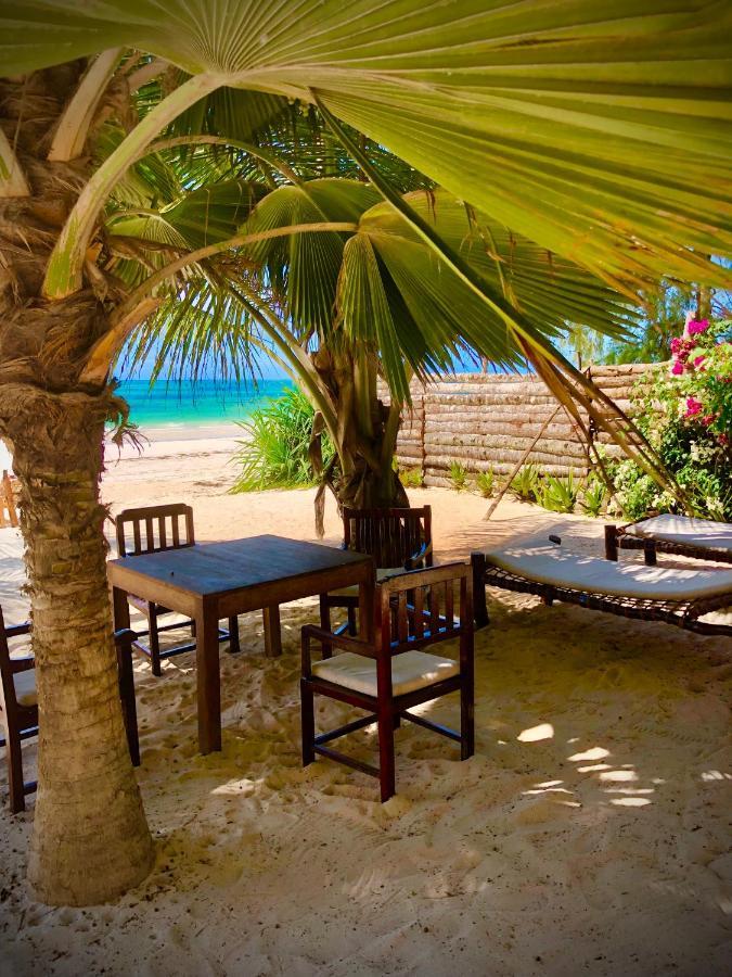 Simba Beach Zanzibar Kiwengwa  Dış mekan fotoğraf