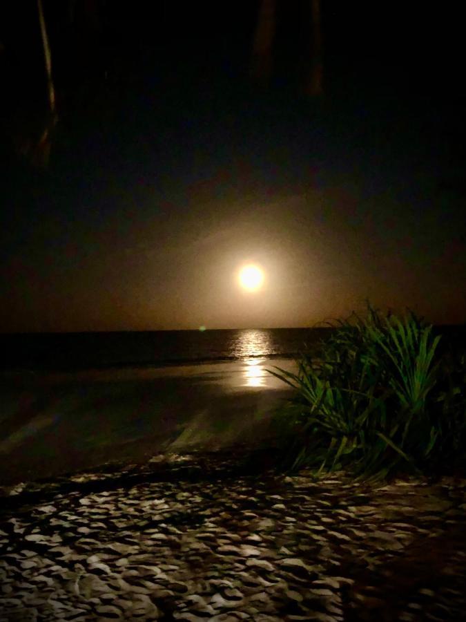 Simba Beach Zanzibar Kiwengwa  Dış mekan fotoğraf