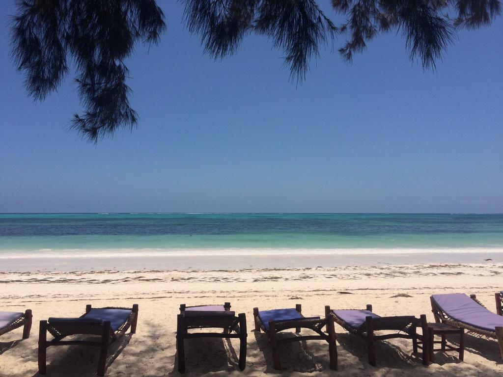 Simba Beach Zanzibar Kiwengwa  Dış mekan fotoğraf