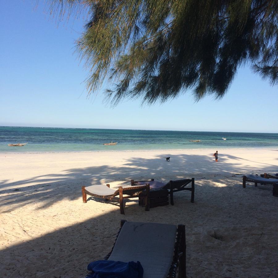 Simba Beach Zanzibar Kiwengwa  Dış mekan fotoğraf