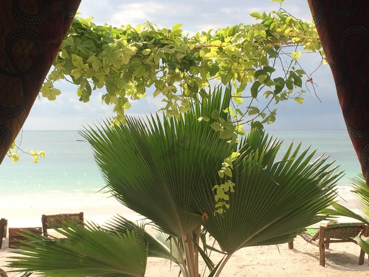 Simba Beach Zanzibar Kiwengwa  Dış mekan fotoğraf