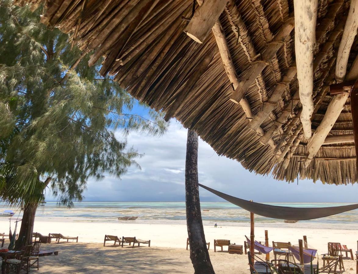 Simba Beach Zanzibar Kiwengwa  Dış mekan fotoğraf
