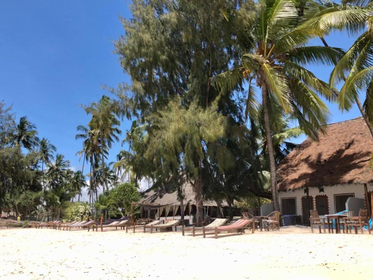 Simba Beach Zanzibar Kiwengwa  Dış mekan fotoğraf