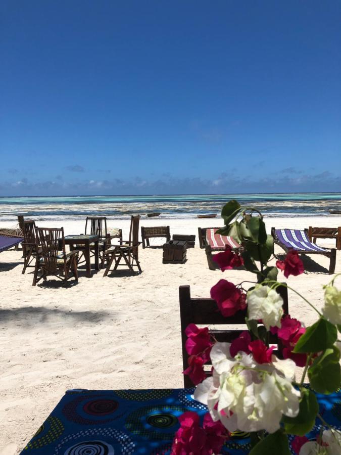 Simba Beach Zanzibar Kiwengwa  Dış mekan fotoğraf