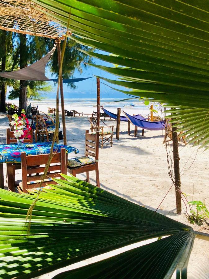 Simba Beach Zanzibar Kiwengwa  Dış mekan fotoğraf