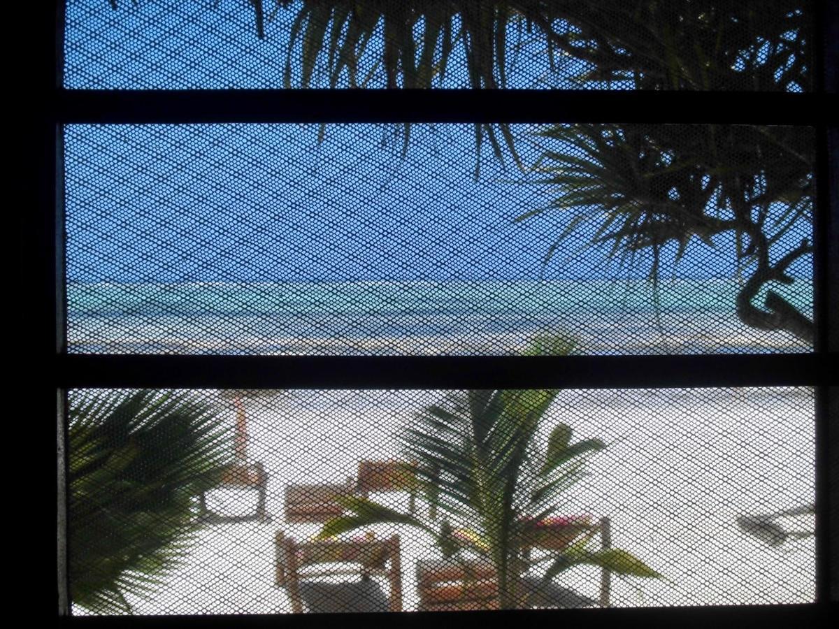Simba Beach Zanzibar Kiwengwa  Dış mekan fotoğraf