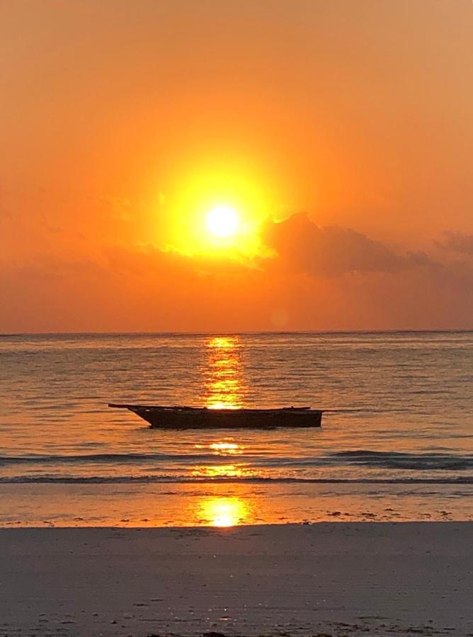 Simba Beach Zanzibar Kiwengwa  Dış mekan fotoğraf