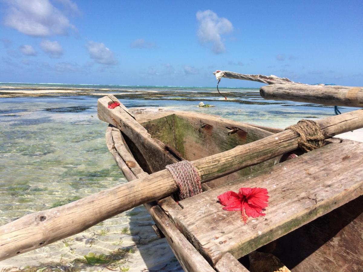 Simba Beach Zanzibar Kiwengwa  Dış mekan fotoğraf